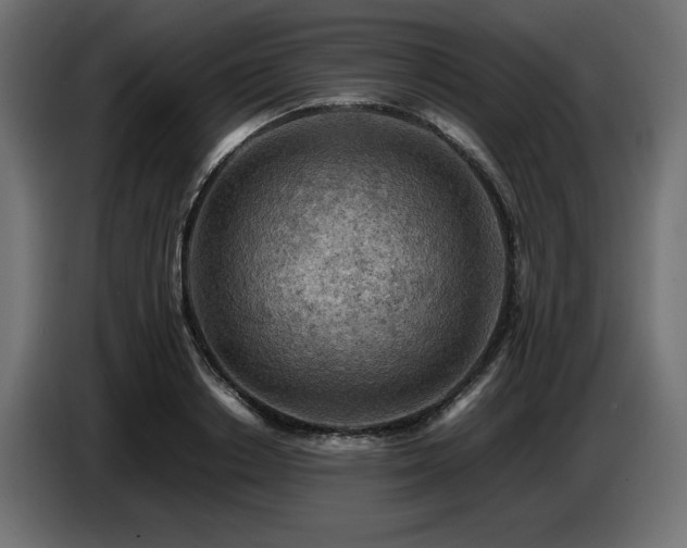 X0000087670842200705041009