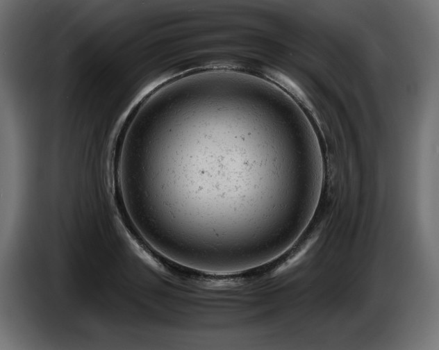 X0000087670843200705041009