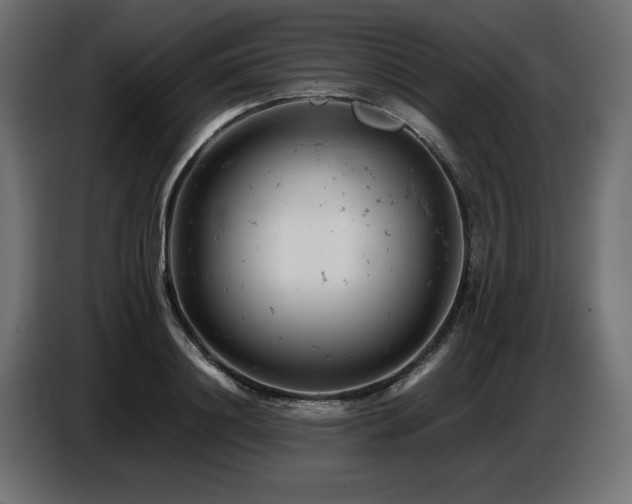 X0000087670844200705041009