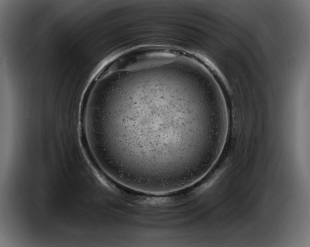 X0000087670845200705041009