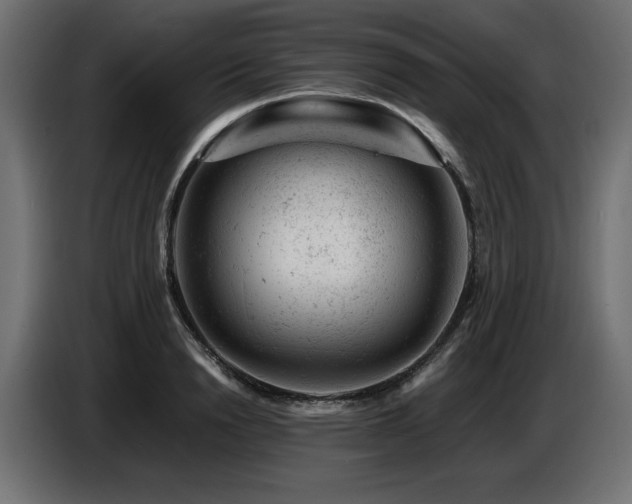 X0000087670846200705041009