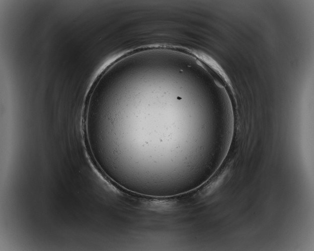 X0000087670847200705041009