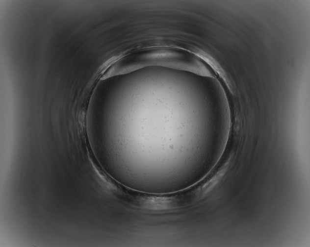 X0000087670849200705041009