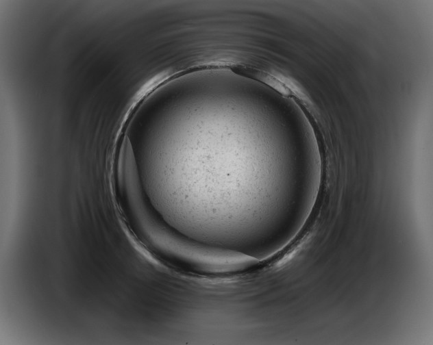 X0000087670850200705041009