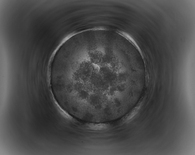 X0000087670851200705041009