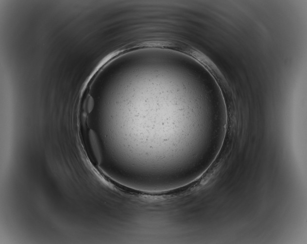 X0000087670852200705041009