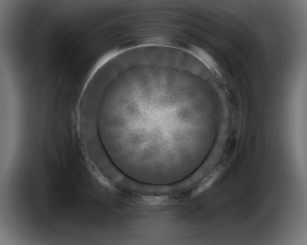 X0000087670854200705041009