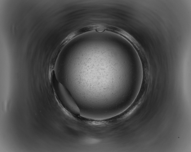 X0000087670857200705041009