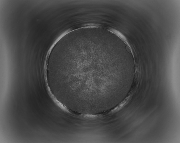 X0000087670859200705041009