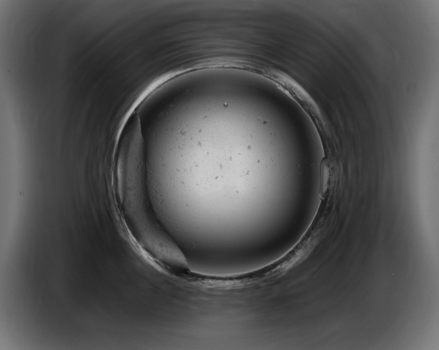 X0000087670860200705041009