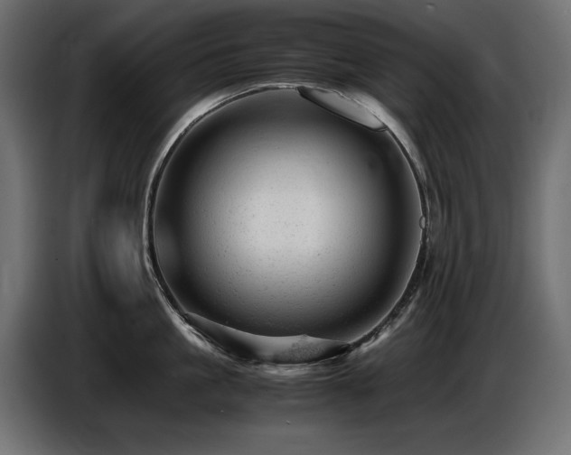 X0000087670861200705041009