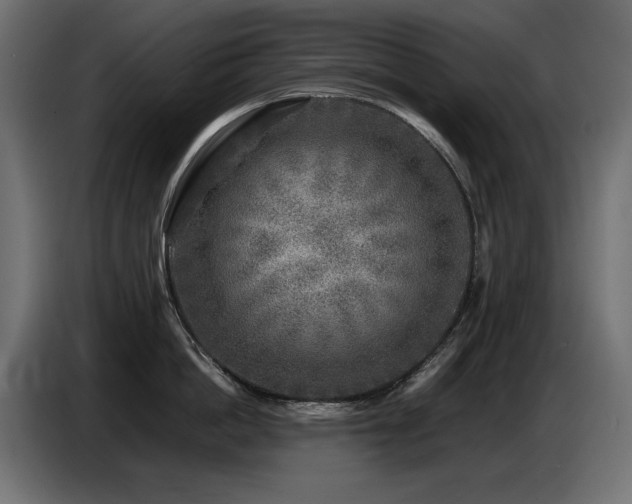 X0000087670862200705041009