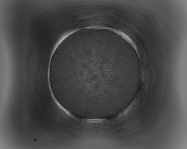 X0000087670863200705041009