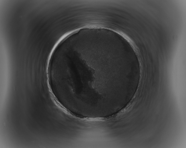 X0000087670864200705041009