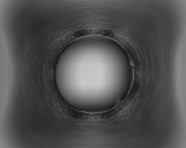 X0000087670865200705041008