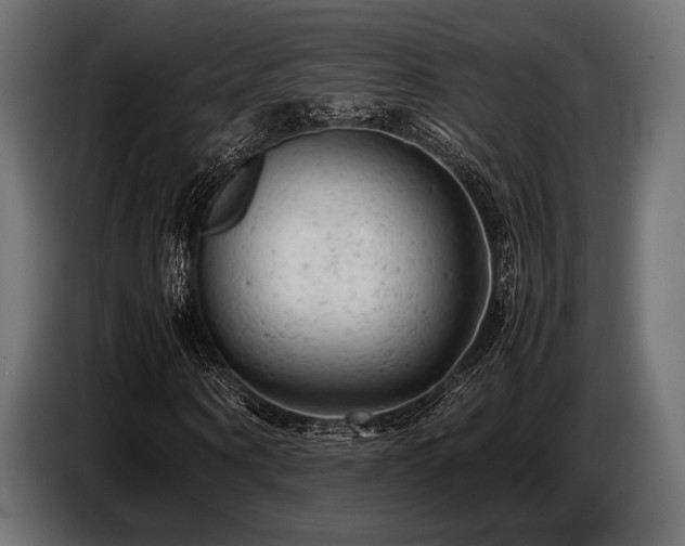 X0000087670866200705041008