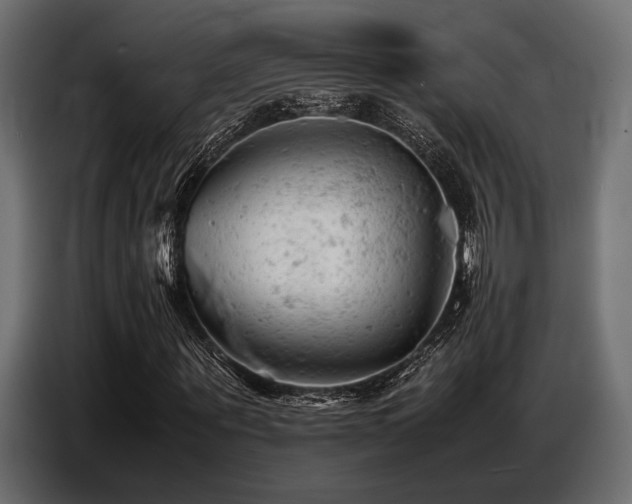 X0000087670867200705041008