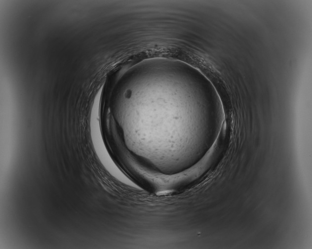 X0000087670868200705041008