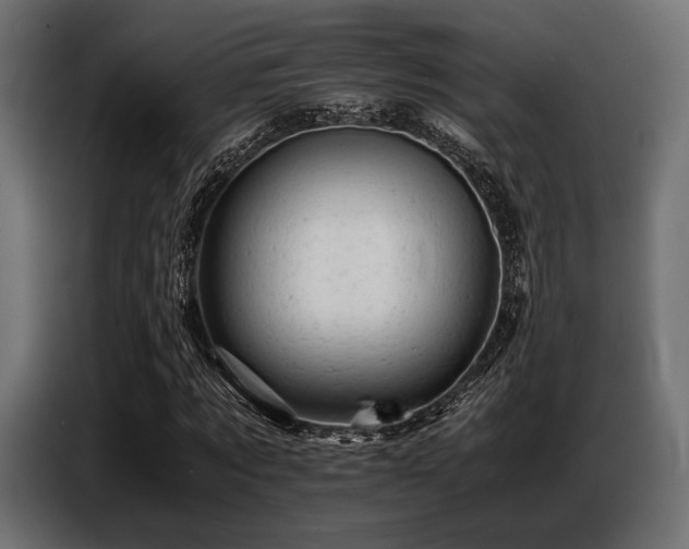 X0000087670869200705041008