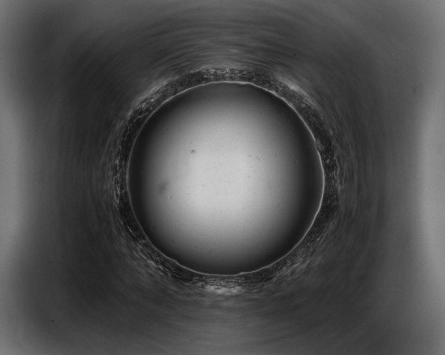 X0000087670870200705041008