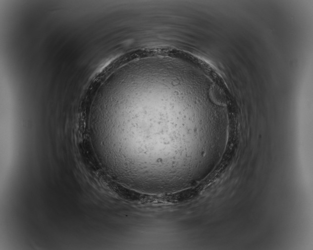 X0000087670871200705041008