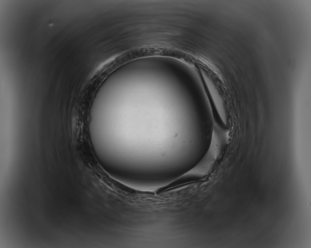 X0000087670872200705041008