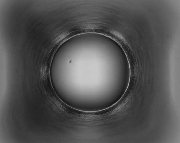 X0000087670873200705041008