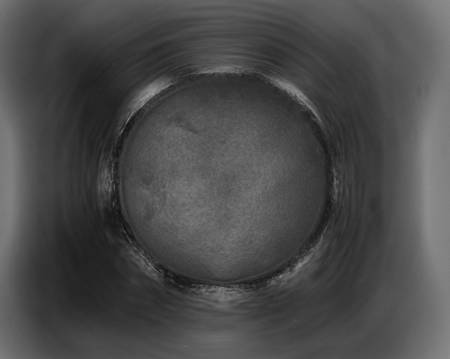 X0000087670874200705041008