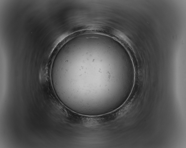 X0000087670875200705041008