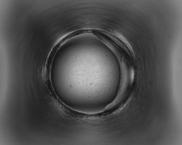 X0000087670876200705041008