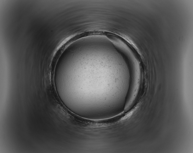 X0000087670877200705041008