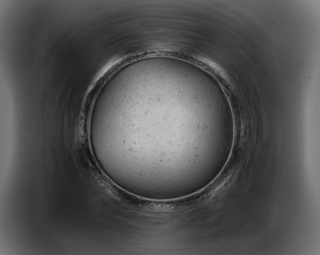 X0000087670878200705041008