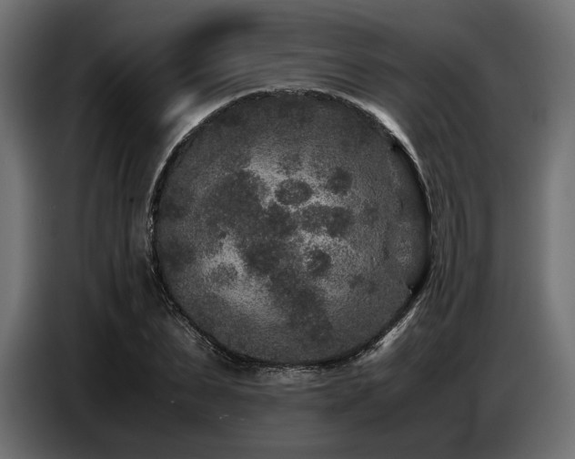 X0000087670879200705041008