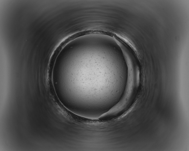 X0000087670880200705041008