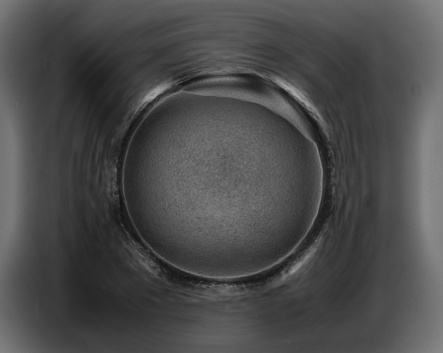 X0000087670881200705041008