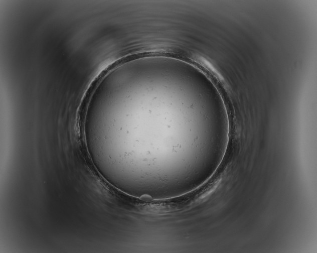 X0000087670883200705041008