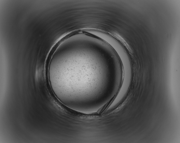 X0000087670884200705041008