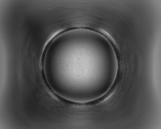 X0000087670885200705041008