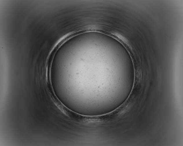 X0000087670886200705041008