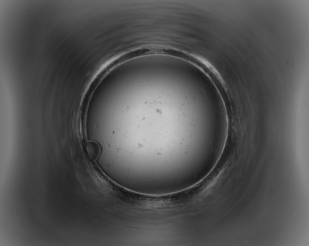 X0000087670887200705041008