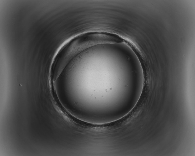 X0000087670888200705041008