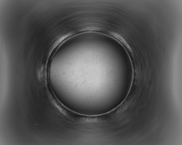 X0000087670890200705041008