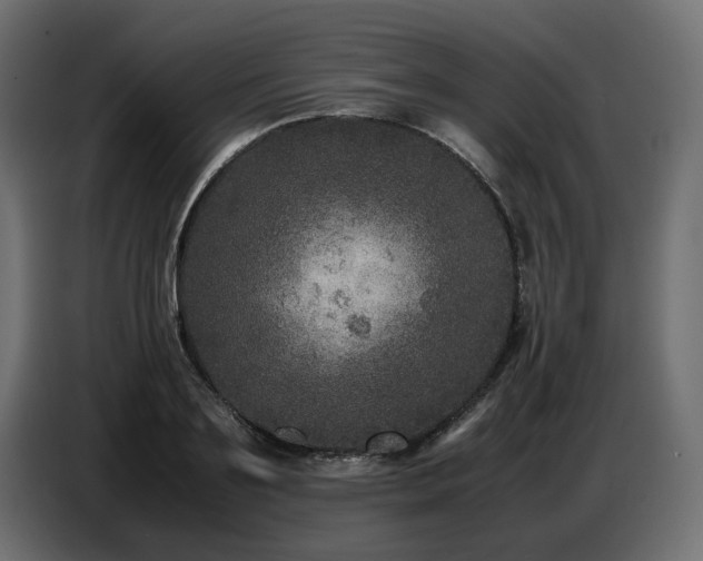 X0000087670891200705041008