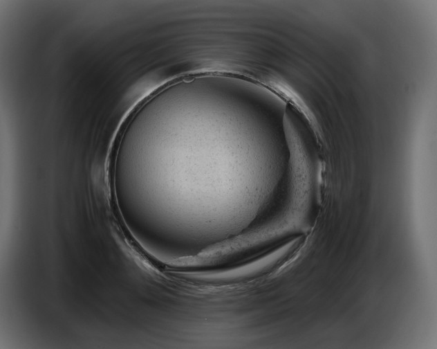 X0000087670892200705041008