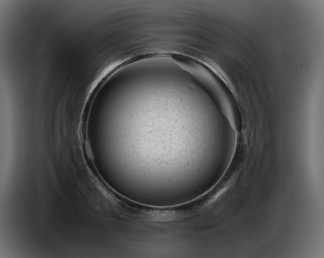 X0000087670893200705041008