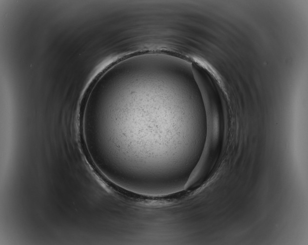 X0000087670894200705041008