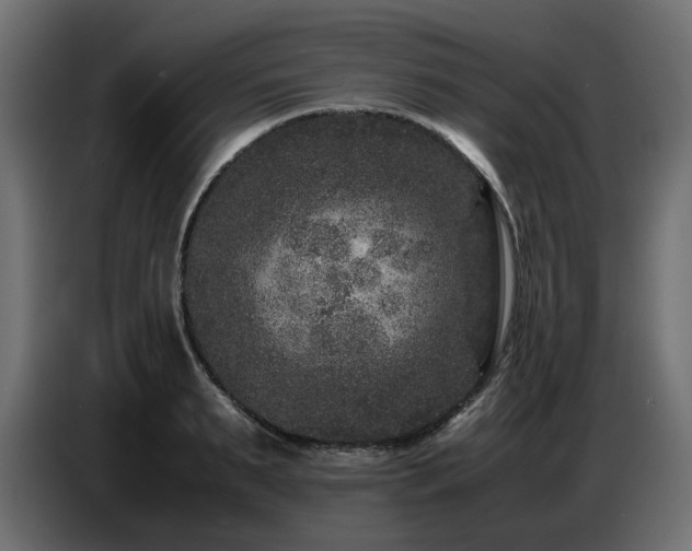 X0000087670895200705041008