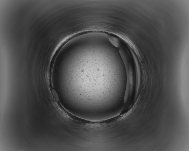 X0000087670896200705041008