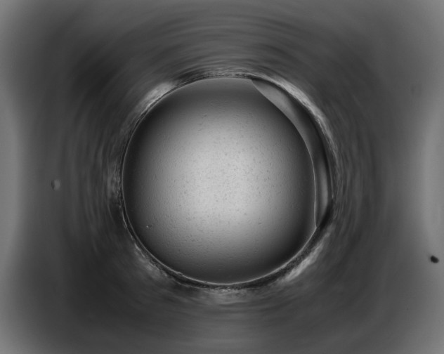 X0000087670897200705041008