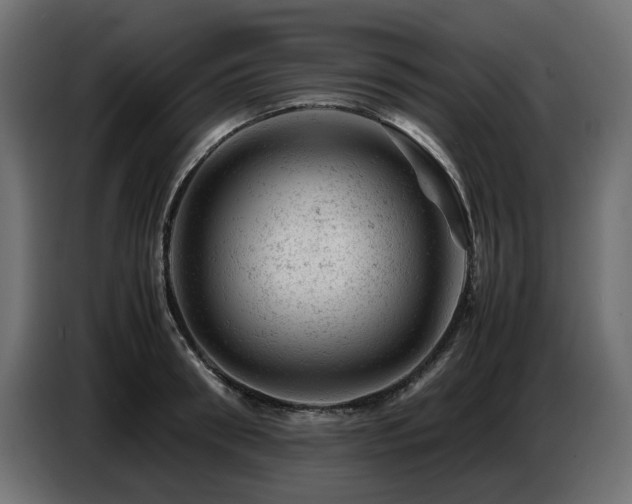 X0000087670898200705041008